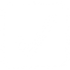 gallery/checkbox